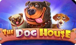 Queen Casino offre il gioco online The Dog House